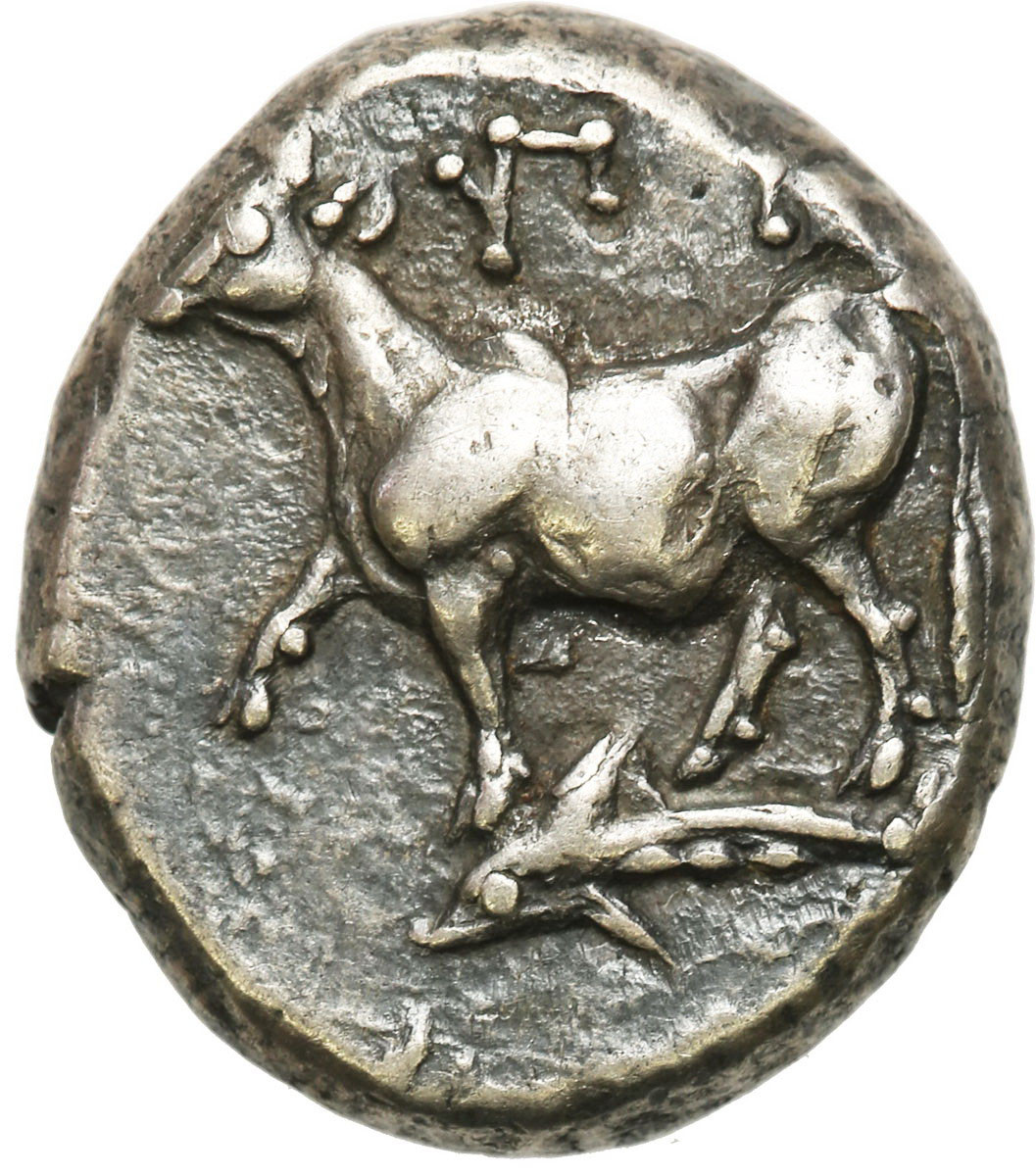 Grecja, Tracja, Byzantion. Drachma 340-320 p. n. e.